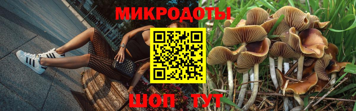 Псилоцибиновые грибы Psilocybine cubensis  Вход с VPN  Свободный  Псилоцибиновые грибы MAGIC MUSHROOMS 